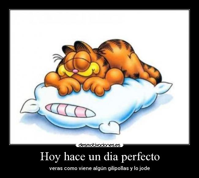 Garfield06