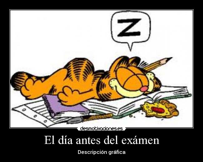 garfielddurmiendo